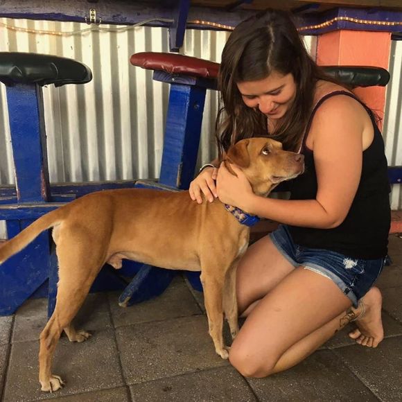 Meet your Posher, Marissa - Picture 1 of 1